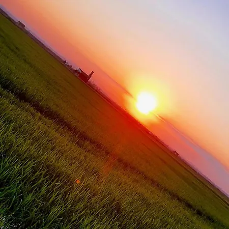 Homestay Albufera *