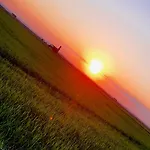 Pansiyon Albufera *